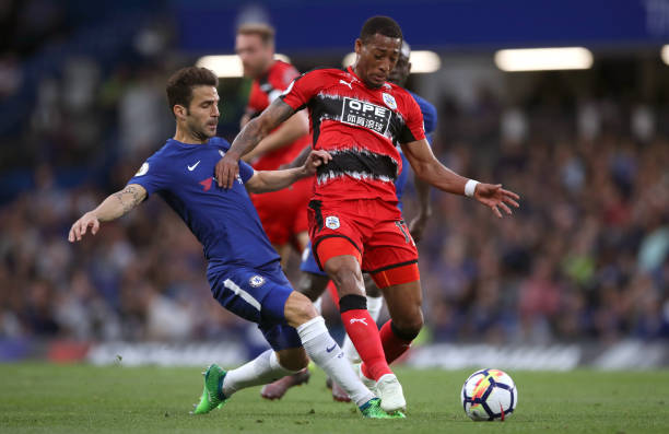 这正如他偶 这正如他偶